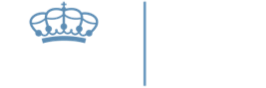 Logo Fundación Reina Sofía